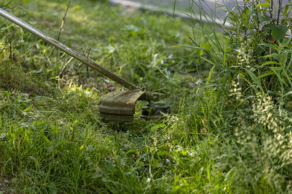 Paysagiste au travail dans un jardin à Toulon