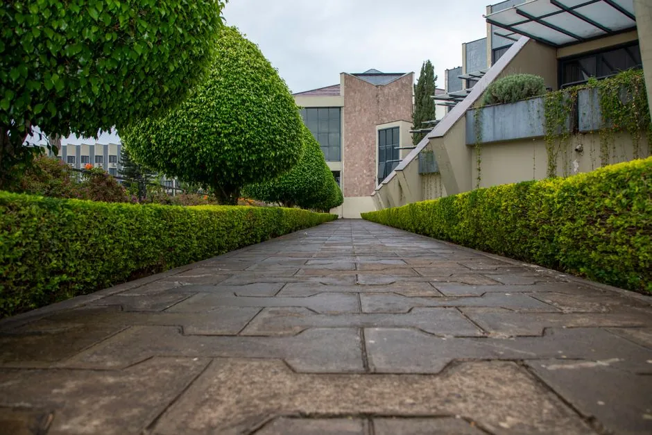 Entretien de jardin méditerranéen à Toulon