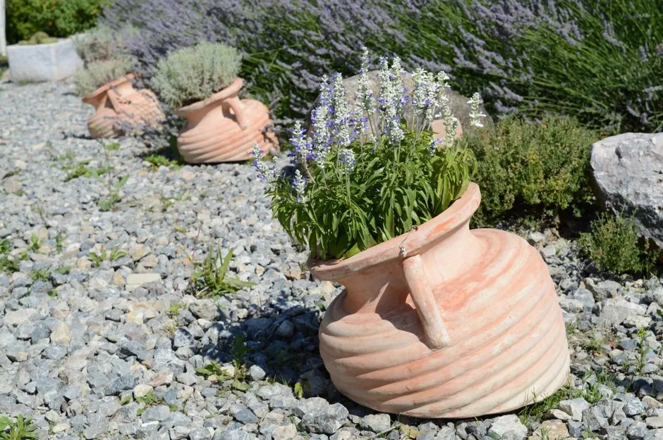 Jardin méditerranéen entretenu dans le Var